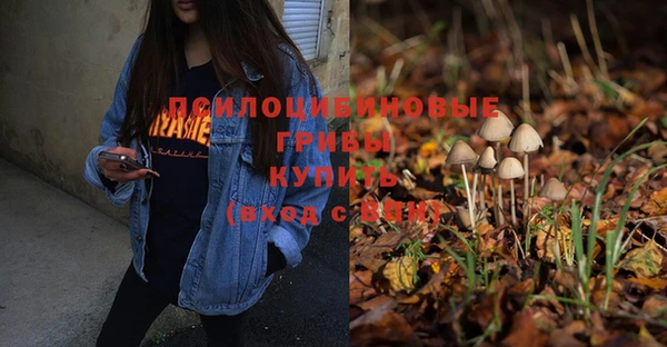 гашишное масло Касимов
