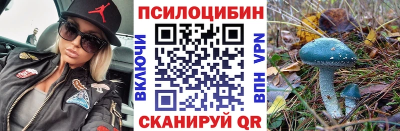 Купить закладки  Белый  Псилоцибиновые грибы Psilocybine cubensis 