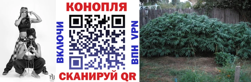 Шишки марихуана планчик  Купить  Белый 